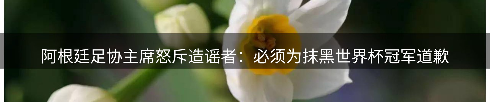 热点看台